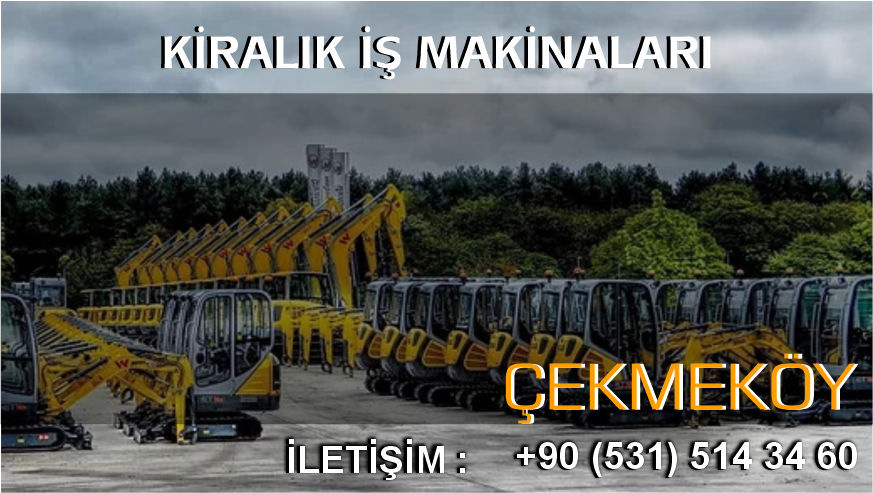 Çekmeköy 2 Tonluk Mini Ekskavatör Kepçe Kiralama Hizmeti